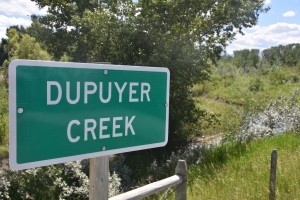 Dupuyer Creek road sign