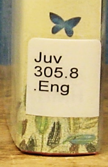 An example of a dewey call number (Juve 305.8 .Eng)