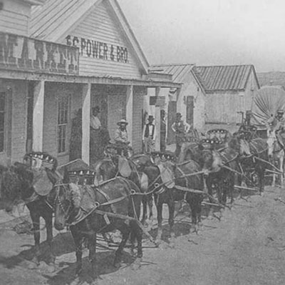 Mule Team, Fort Benton, ca. 1880