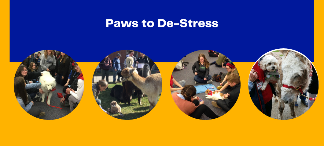 Paws to De-Stress
