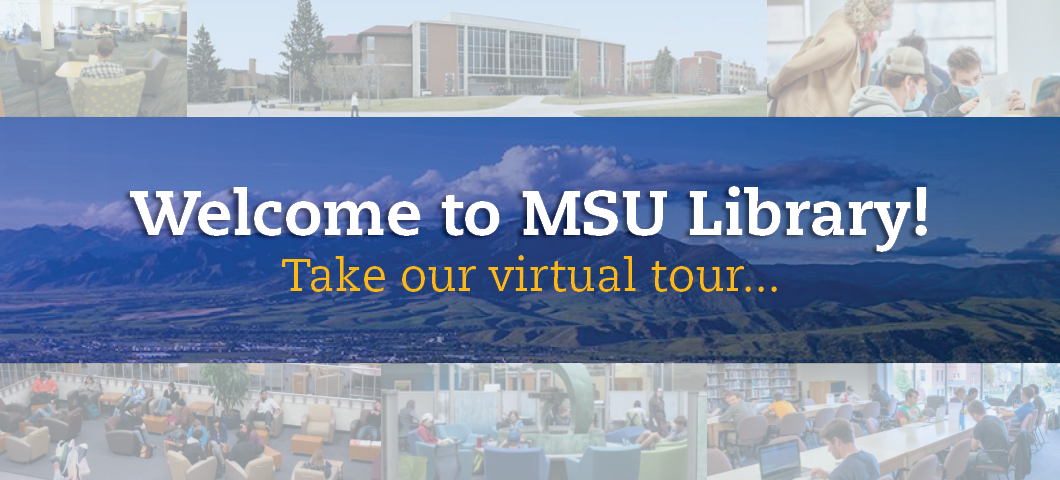 Library virtual tour