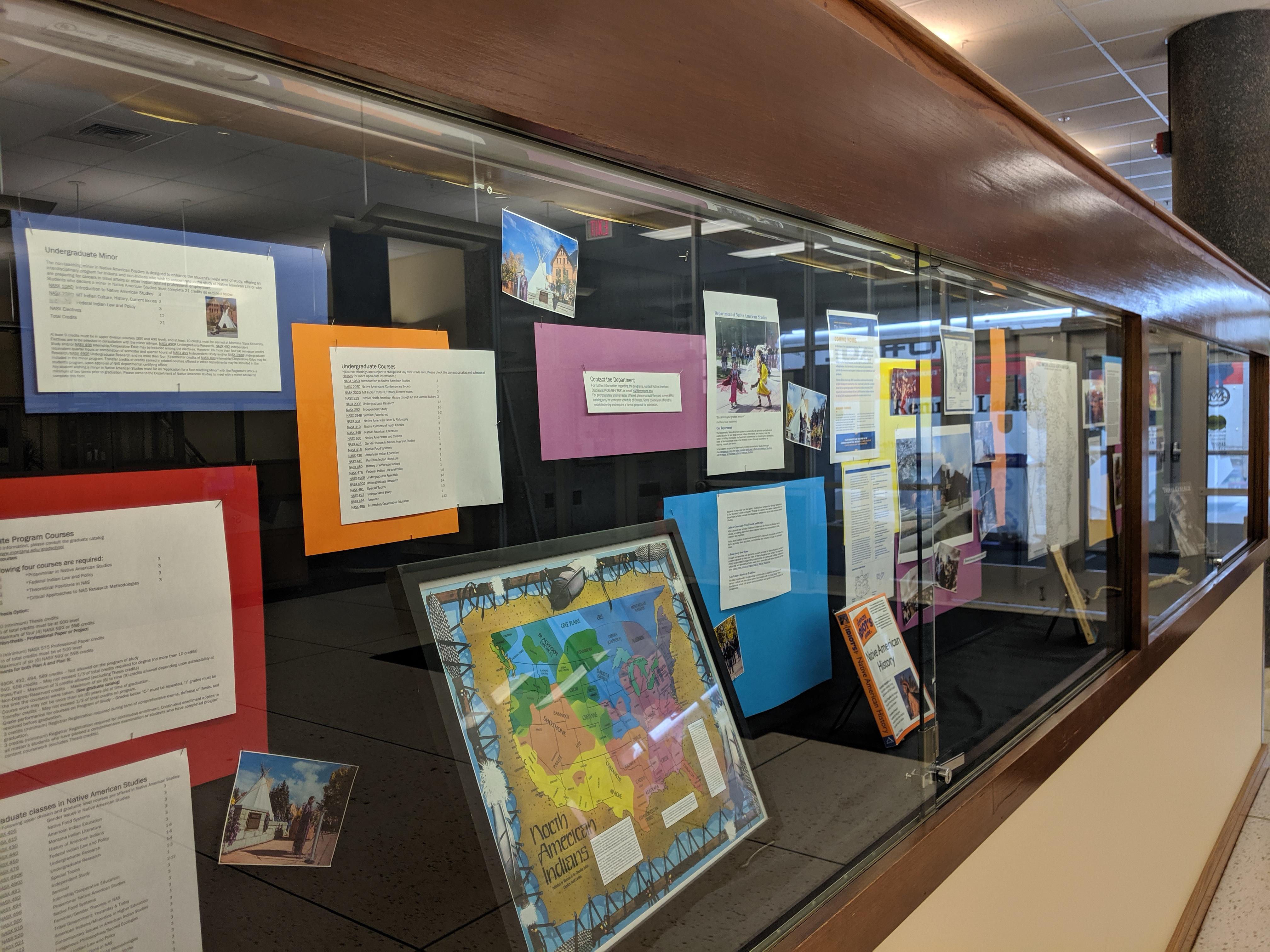 Tribal College Librarian Institute And Native American - 