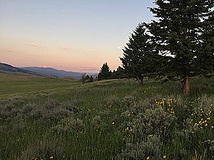 image of mountain meadow at sunset