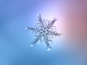 Image of single magnified snowflake
