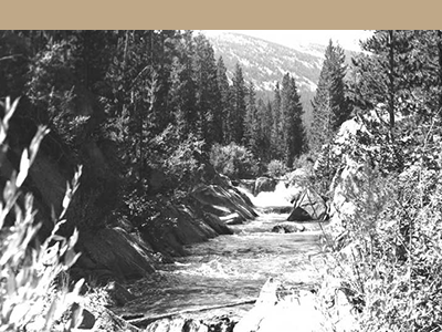 Image from Brook collection