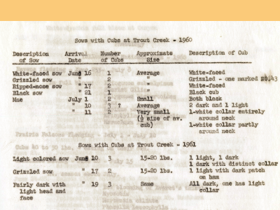 Item from the Frank Craighead Digital Collection