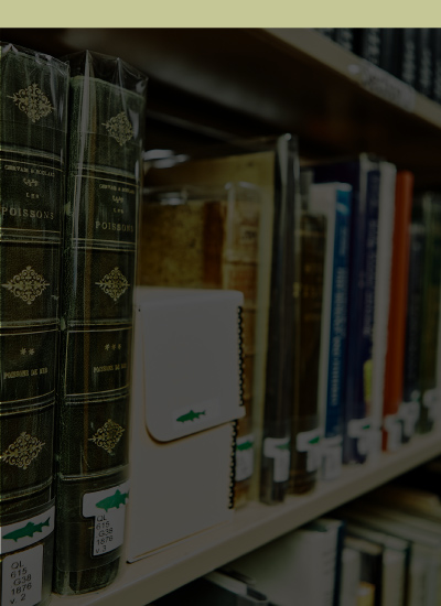 Collections Card image