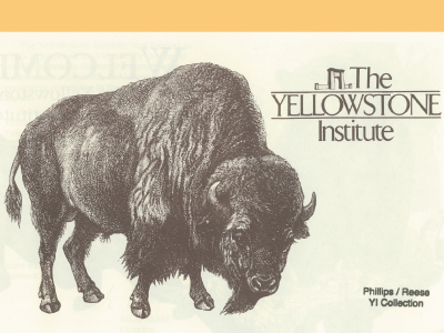 Illustration of a bison