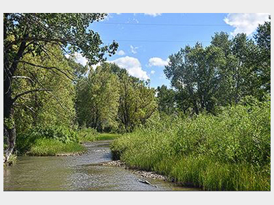 english creek in summer
