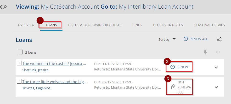 Image of the Loans page in a CatSearch Account.