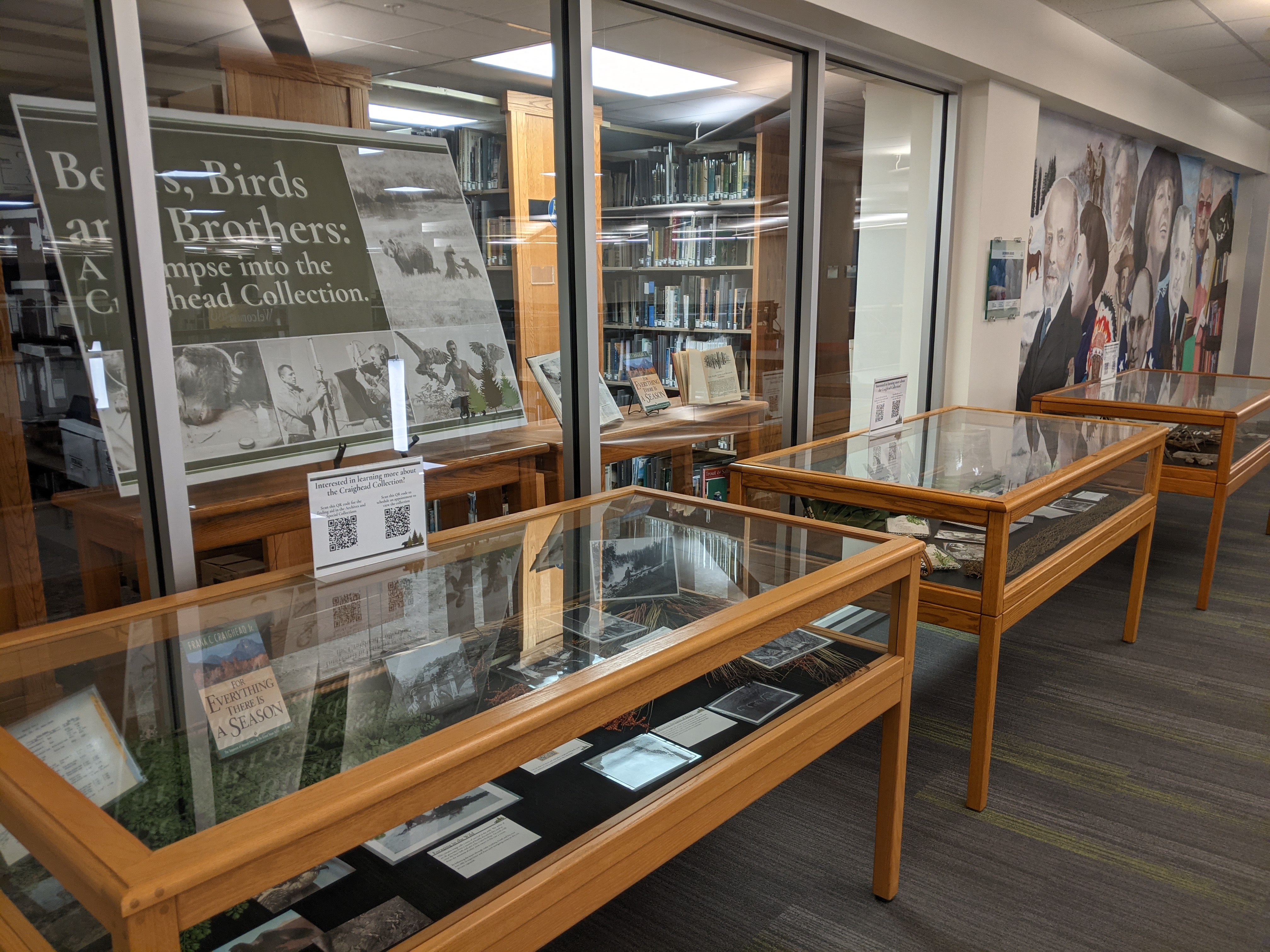 Craighead Display cases from left side