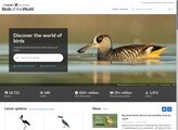 Birds of the World (Formerly Birds of North America Online) screenshot