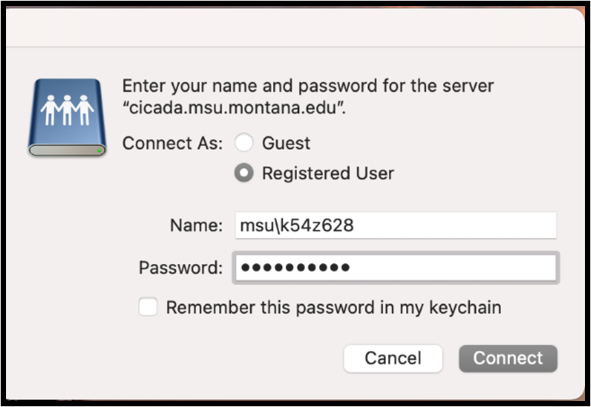 netID/password pop up box