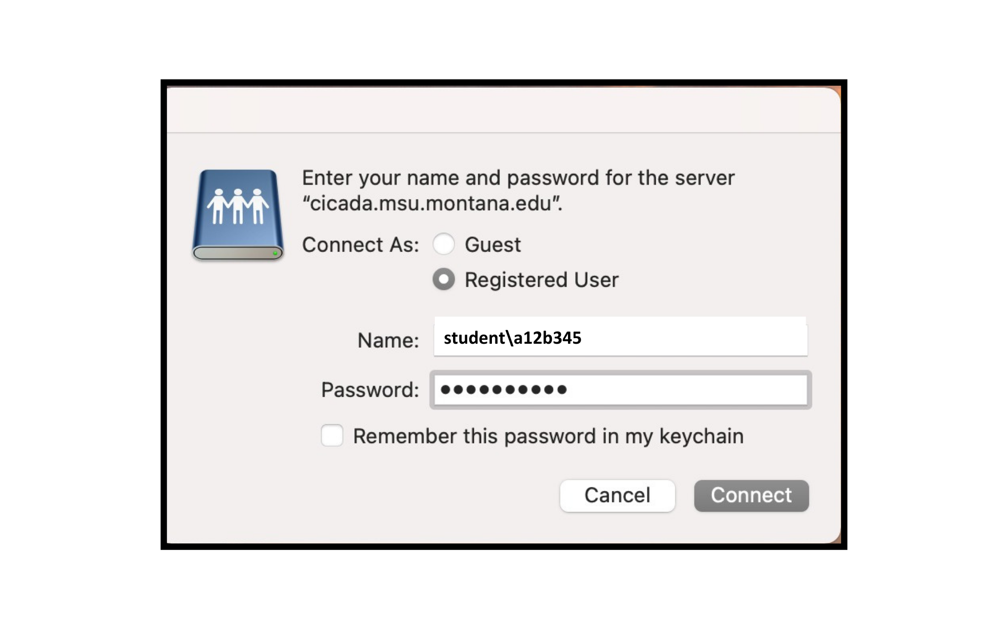 netID/password pop up box