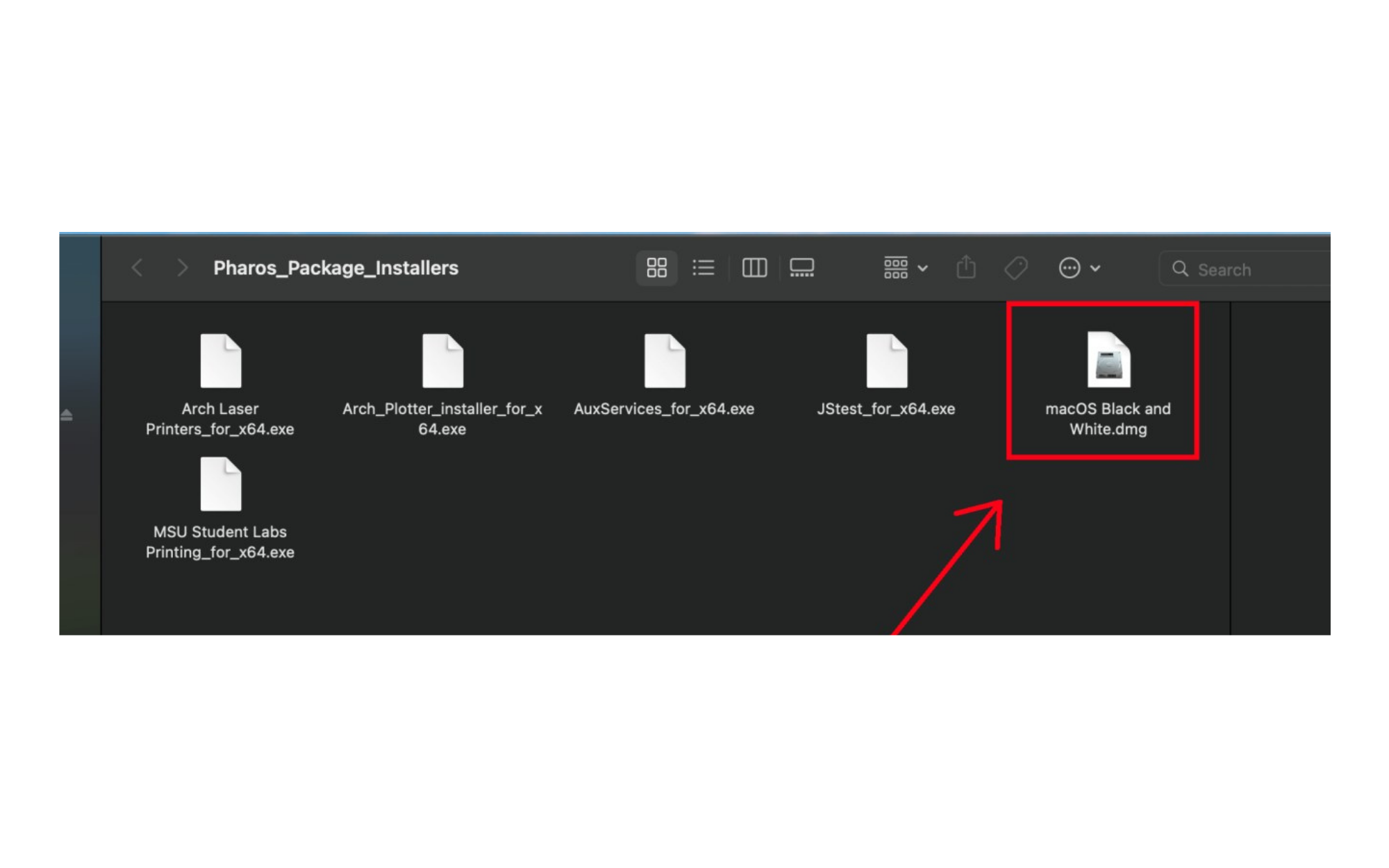 arrow pointing to box drawn around macOS Black and White.dmg file