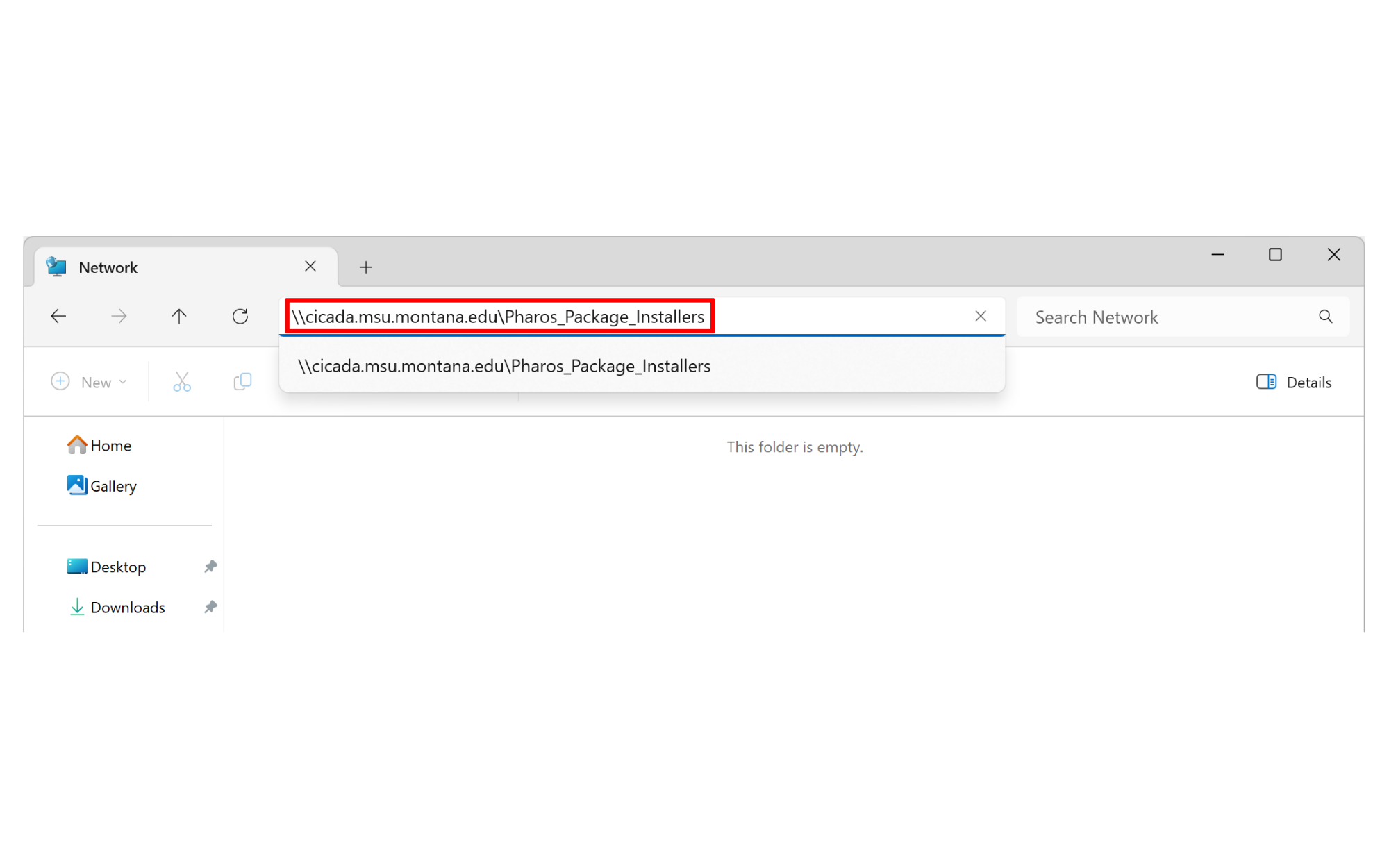 In the field, type \\cicada.msu.montana.edu